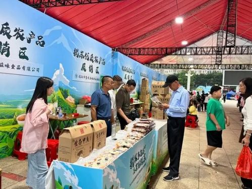 打响 揭东炒茶 品牌 2024年揭东春茶文化节暨优质农产品展销会举行